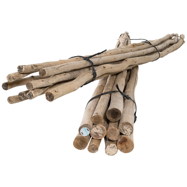 Natural eucalyptus bundles tied with black twine, perfect for adding rustic charm and coastal style to home decor.