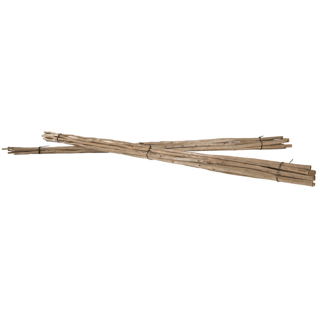 Natural eucalyptus bundles tied with black twine, perfect for adding rustic charm and coastal style to home decor.