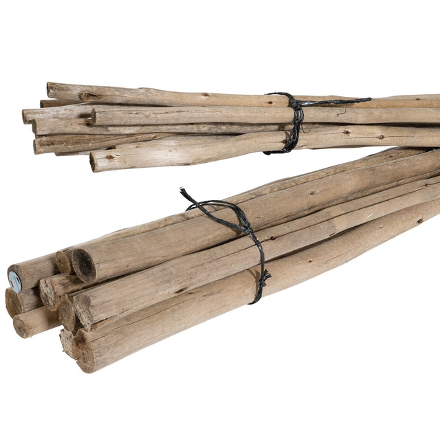 Natural eucalyptus pole bundles tied with black twine, perfect for adding rustic charm and coastal style to home decor