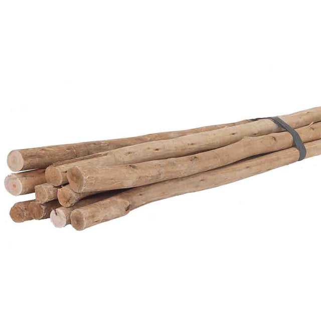 Latte Poles 4.5m | Bundle of 10 Eucalyptus Latte Poles Uniqwa Collections